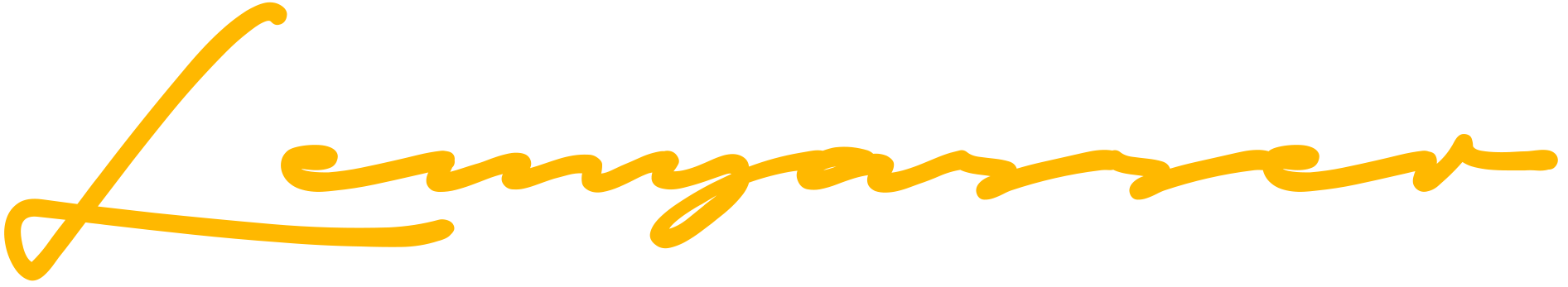 Designer's Signature